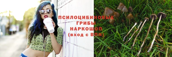 мескалин Бугульма